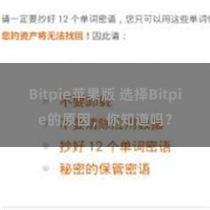 Bitpie苹果版 选择Bitpie的原因，你知道吗？