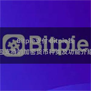 Bitpie支付 Bitpie钱包支持的加密货币种类及功能介绍