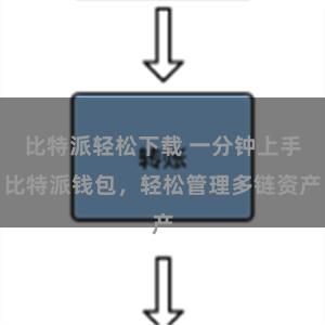 比特派轻松下载 一分钟上手比特派钱包，轻松管理多链资产