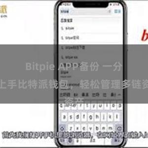 Bitpie APP备份 一分钟上手比特派钱包，轻松管理多链资产