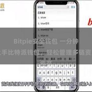 Bitpie安全钱包 一分钟上手比特派钱包，轻松管理多链资产