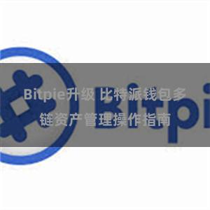 Bitpie升级 比特派钱包多链资产管理操作指南