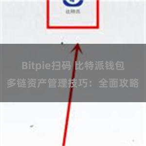 Bitpie扫码 比特派钱包多链资产管理技巧：全面攻略