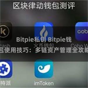 Bitpie私钥 Bitpie钱包使用技巧：多链资产管理全攻略