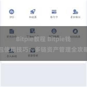 Bitpie教程 Bitpie钱包使用技巧：多链资产管理全攻略