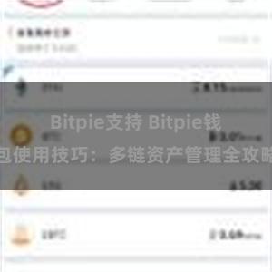 Bitpie支持 Bitpie钱包使用技巧：多链资产管理全攻略