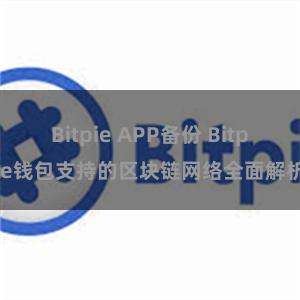 Bitpie APP备份 Bitpie钱包支持的区块链网络全面解析