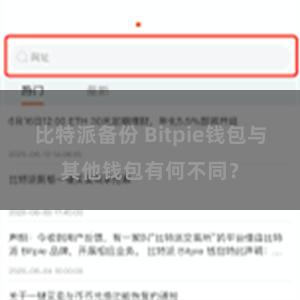 比特派备份 Bitpie钱包与其他钱包有何不同？