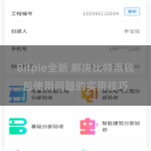 Bitpie全新 解决比特派钱包使用问题的实用技巧