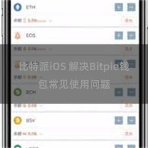 比特派iOS 解决Bitpie钱包常见使用问题