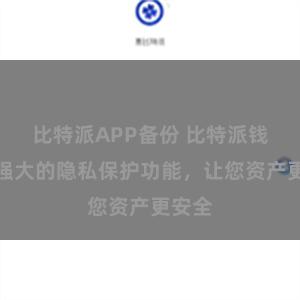 比特派APP备份 比特派钱包：强大的隐私保护功能，让您资产更安全