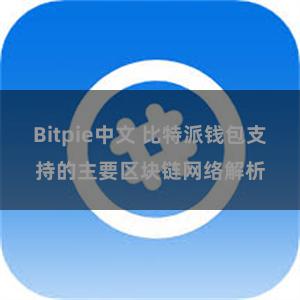 Bitpie中文 比特派钱包支持的主要区块链网络解析