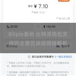 Bitpie备份 比特派钱包支持的主要区块链网络解析