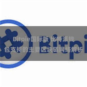 Bitpie国际版 比特派钱包支持的主要区块链网络解析