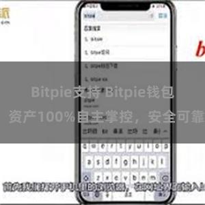 Bitpie支持 Bitpie钱包：资产100%自主掌控，安全可靠。