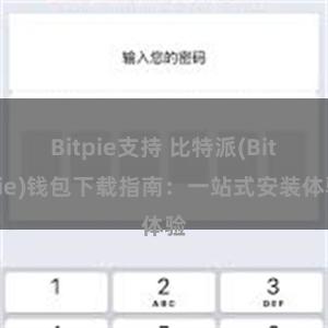 Bitpie支持 比特派(Bitpie)钱包下载指南：一站式安装体验