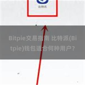 Bitpie交易指南 比特派(Bitpie)钱包适合何种用户？