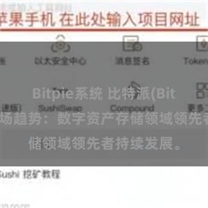 Bitpie系统 比特派(Bitpie)钱包市场趋势：数字资产存储领域领先者持续发展。